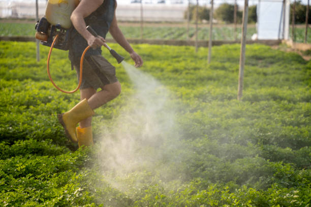 Best Pest Removal Services  in Clearwater, KS