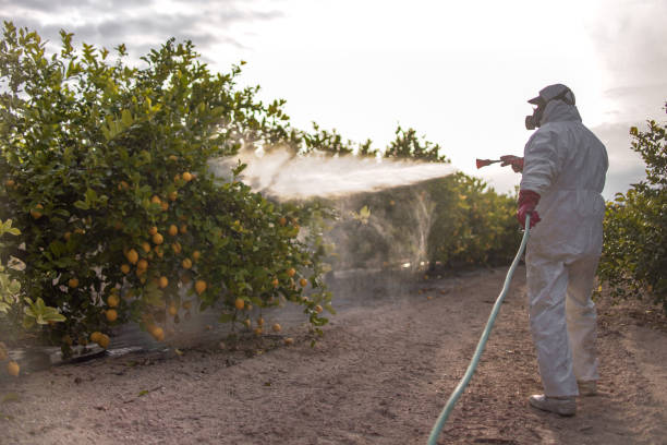 Best Pest Control Near Me in Clearwater, KS