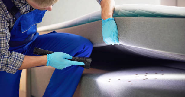 Reliable Clearwater, KS Pest Control Solutions