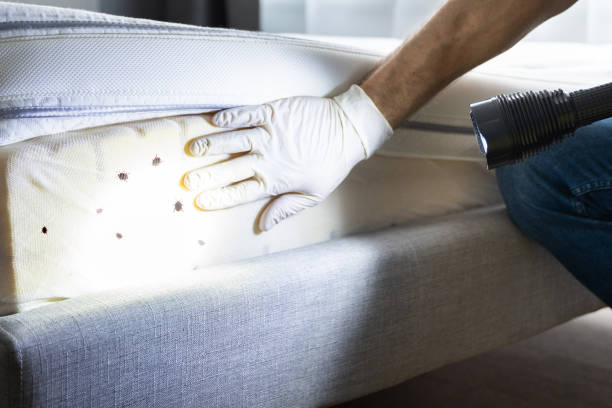 Best Bed Bug Extermination  in Clearwater, KS