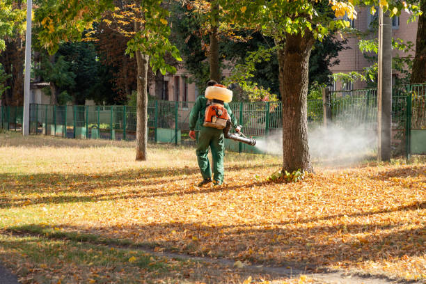 Best Exterminator Services  in Clearwater, KS