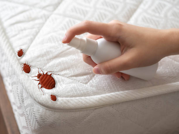 Best Pest Inspection Near Me  in Clearwater, KS