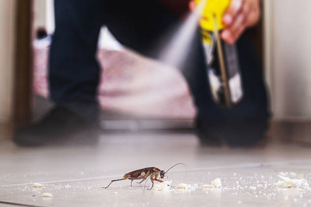 Best Pest Prevention Services  in Clearwater, KS