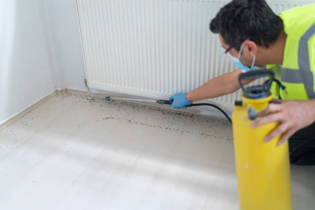 Best Bed Bug Extermination  in Clearwater, KS